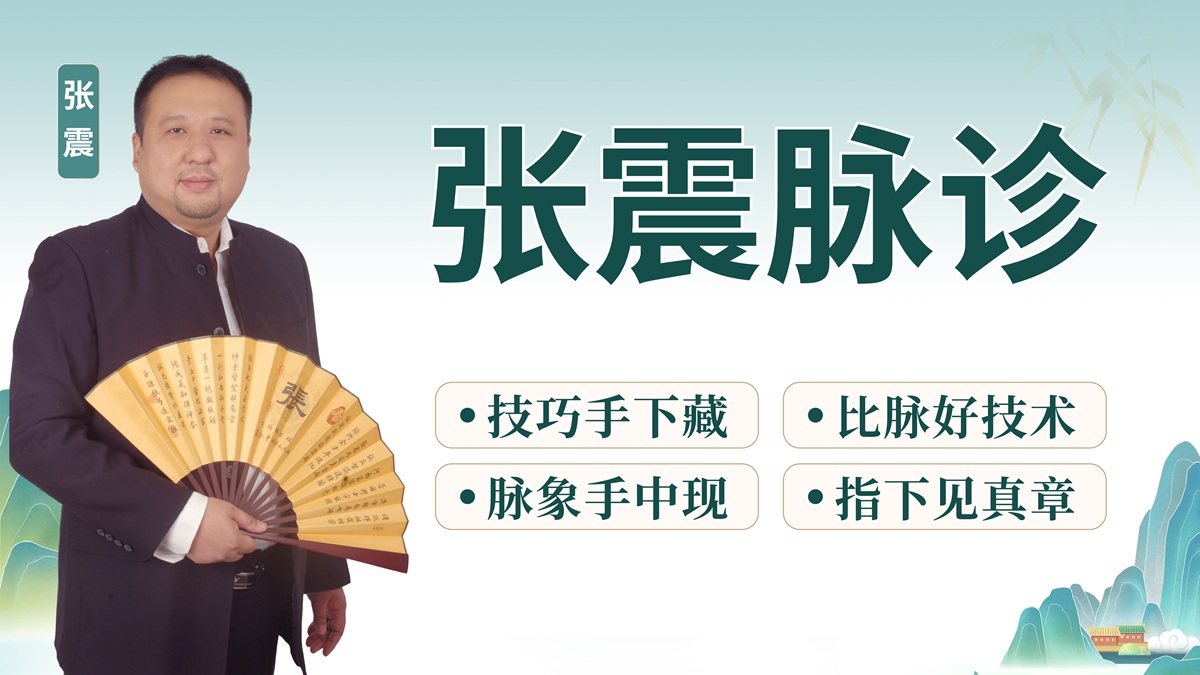 张震脉诊 张震脉诊