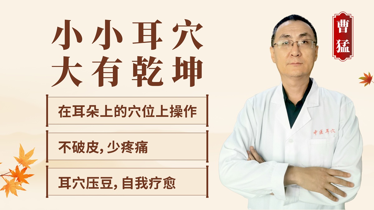 “1+2”耳穴通疗法课程介绍