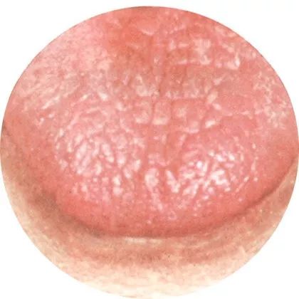 老舌:正邪对峙 老舌:正邪对峙