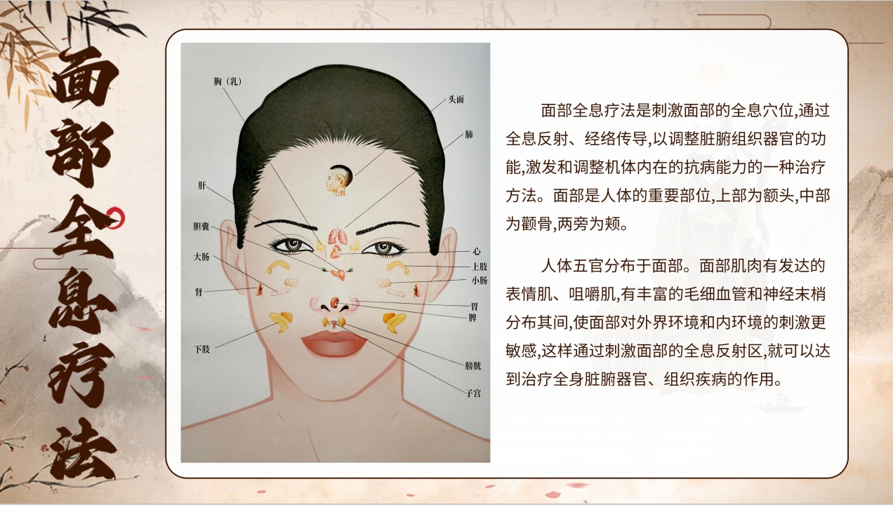 【资料领取】┃《身体各部位全息图》 PDF电子书百度云盘下载