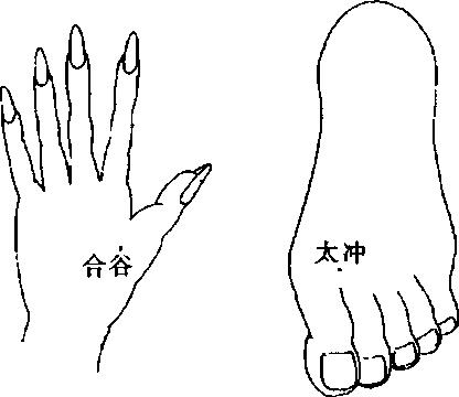 合谷 + 太冲