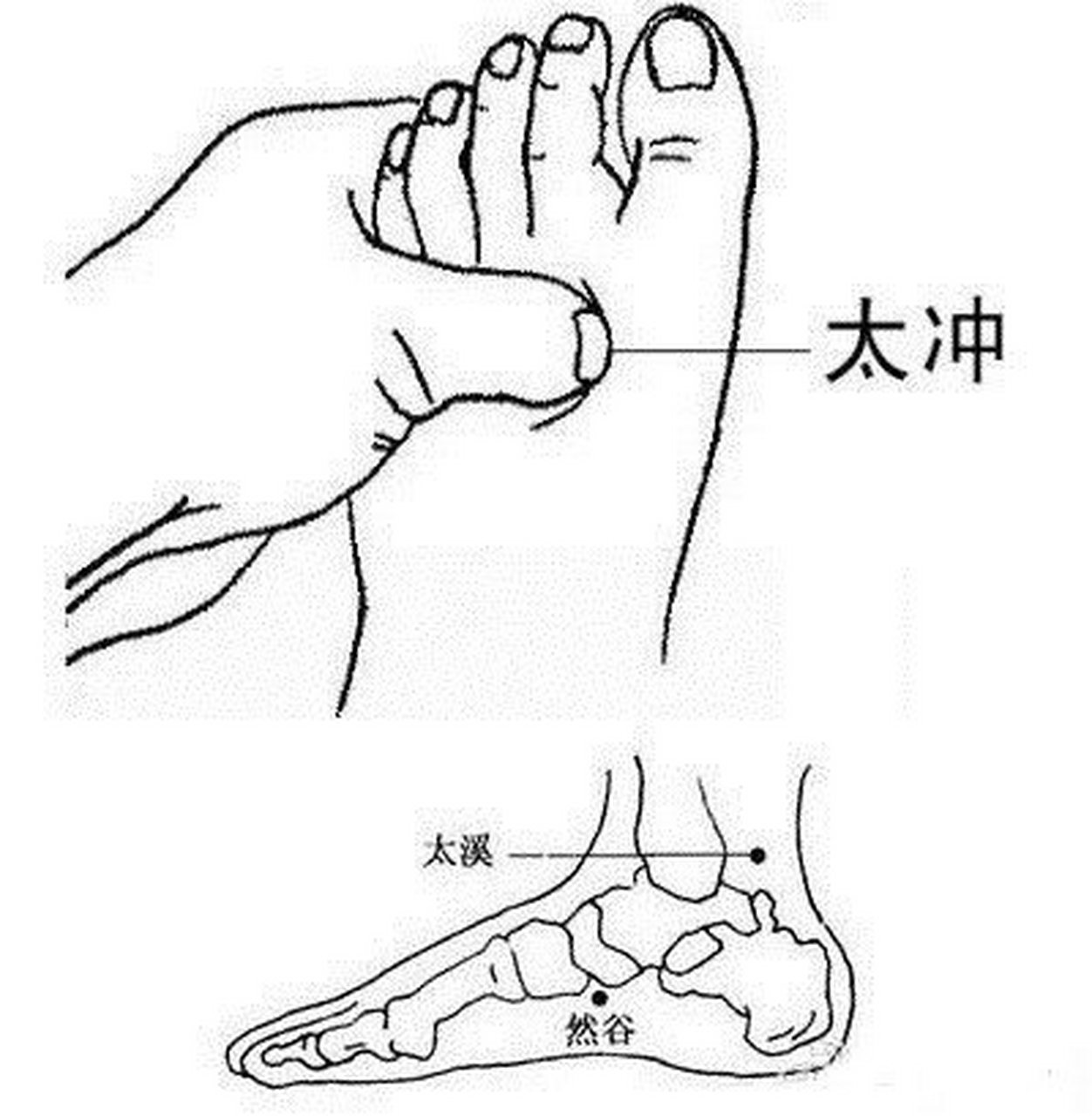 太溪 + 太冲