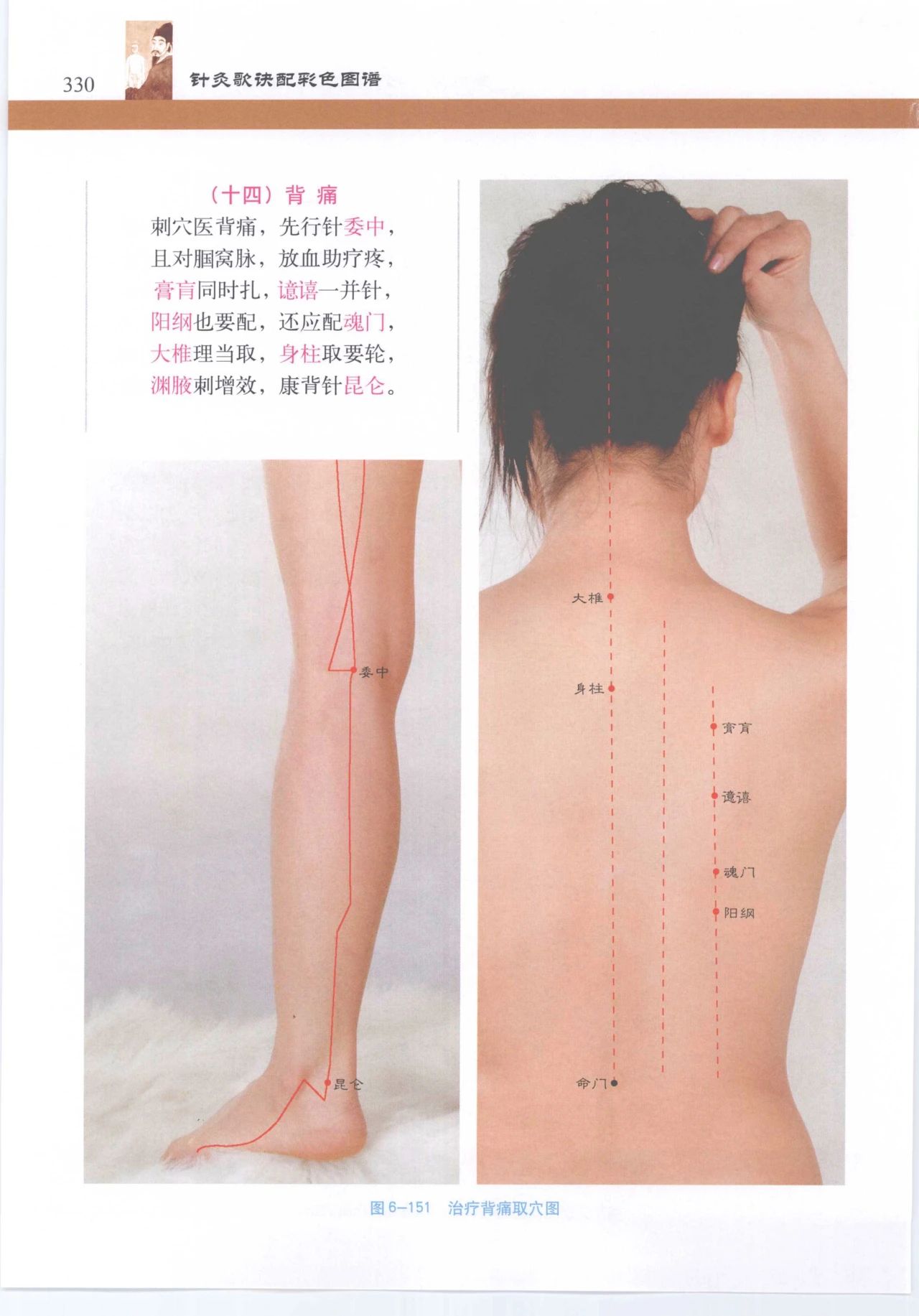 《针灸歌诀配彩色图谱》徐玉琢 PDF电子书百度云盘下载