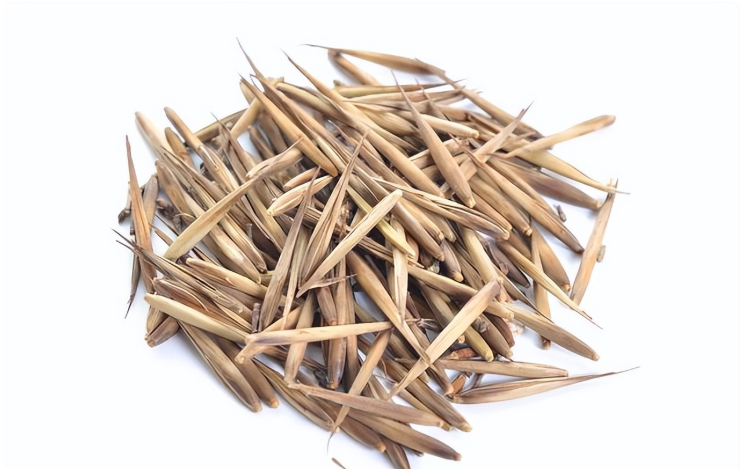 微信图片_20250109093132.png 微信图片_20250109093132.png