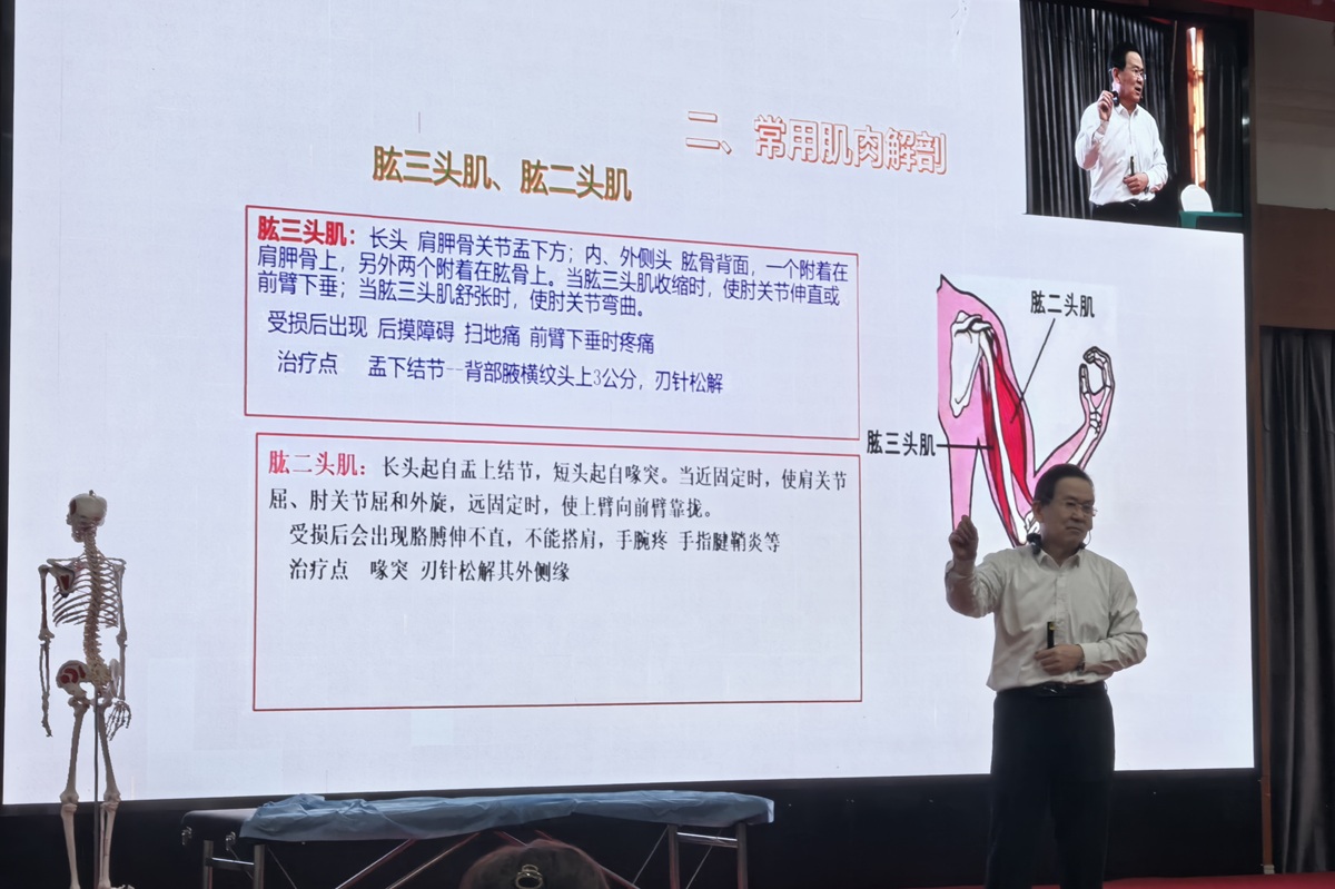 中域教育第2期王氏实战双针术学术交流会(武汉站)精彩启幕! 中域教育第2期王氏实战双针术学术交流会(武汉站)精彩启幕!