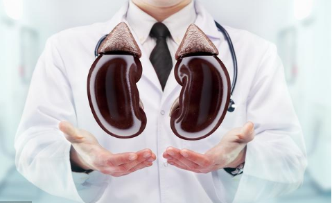 冬天多吃种子精华,补补耗干的肾精!! 冬天多吃种子精华,补补耗干的肾精!!