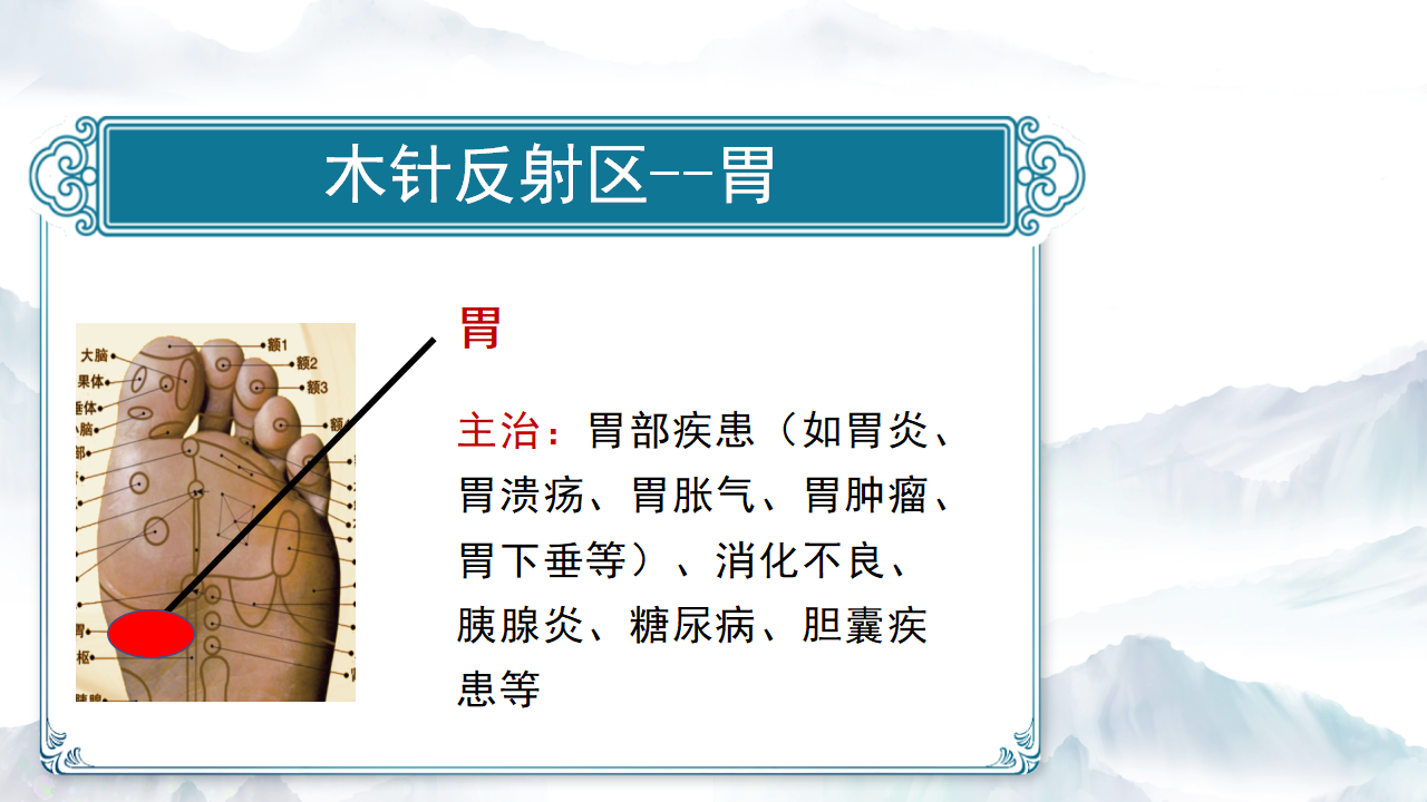 木针疗法的调理原理