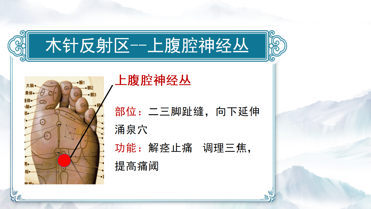 木针疗法的调理原理