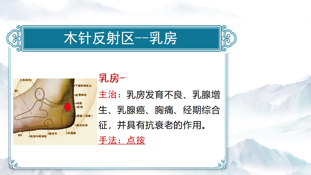 木针疗法的调理原理3