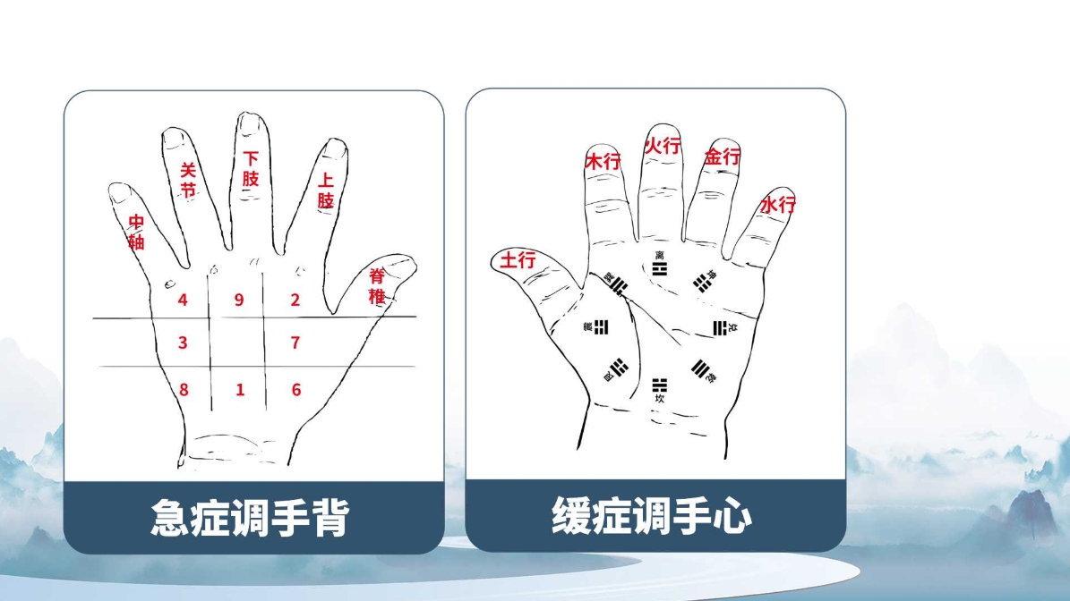 杨磊老师杨氏五行全息针课程讲义！