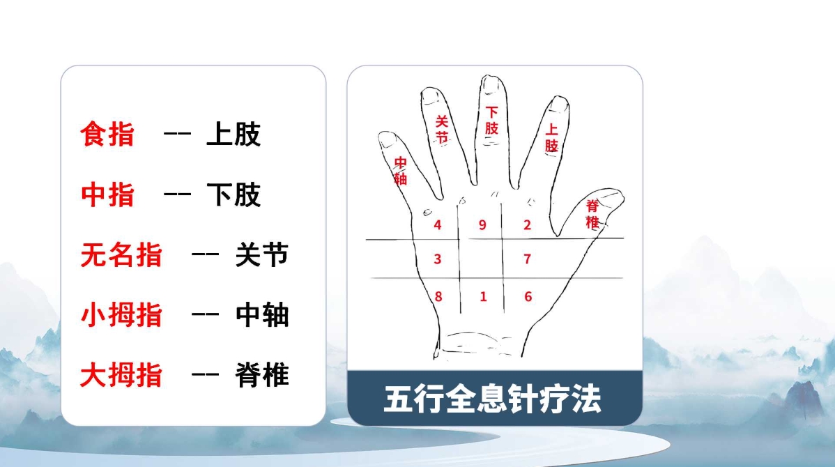 “杨氏五行全息针” 高度重视人体的全息性 “杨氏五行全息针” 高度重视人体的全息性