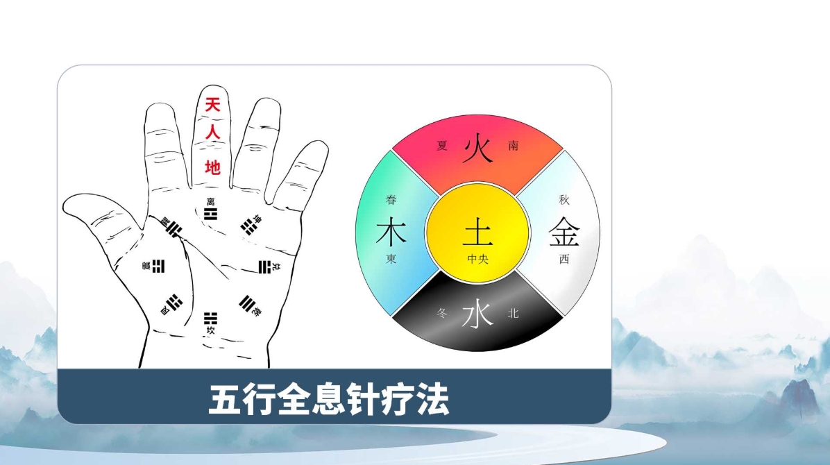 杨磊老师杨氏五行全息针课程讲义！