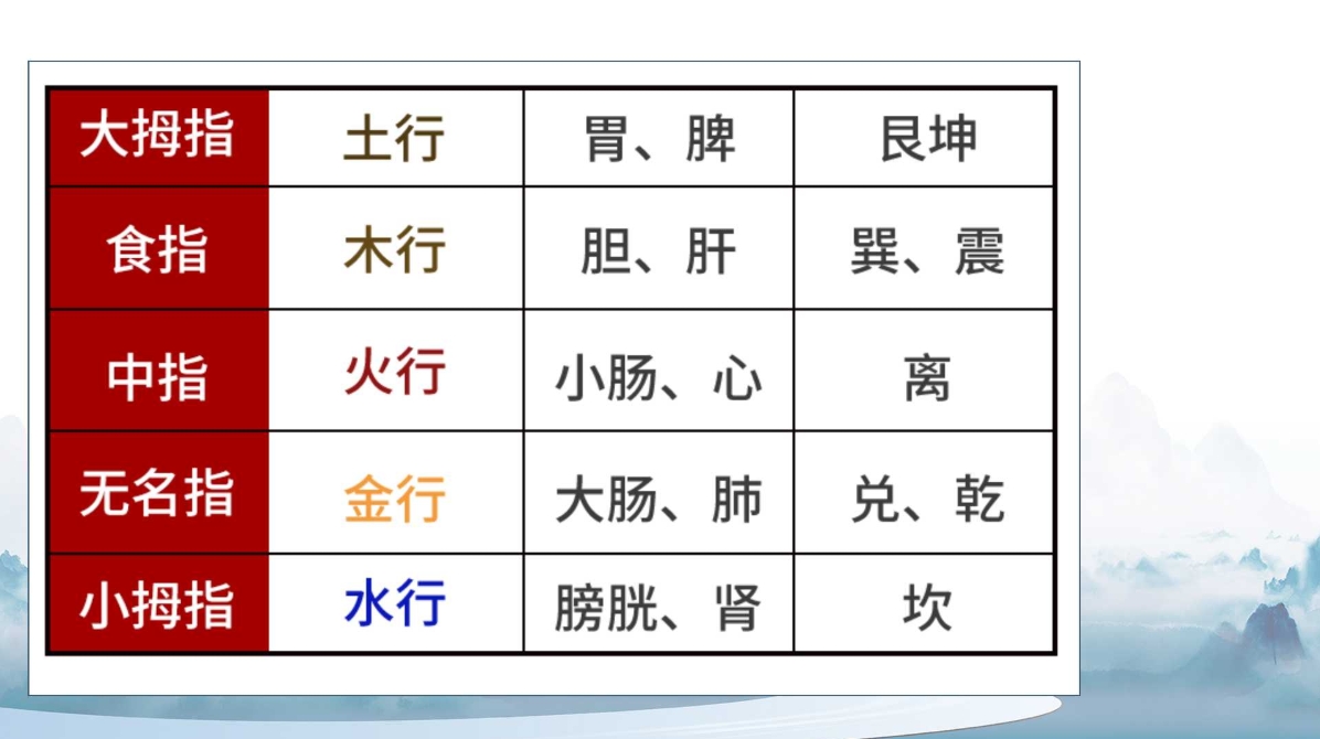 杨磊老师杨氏五行全息针课程讲义！