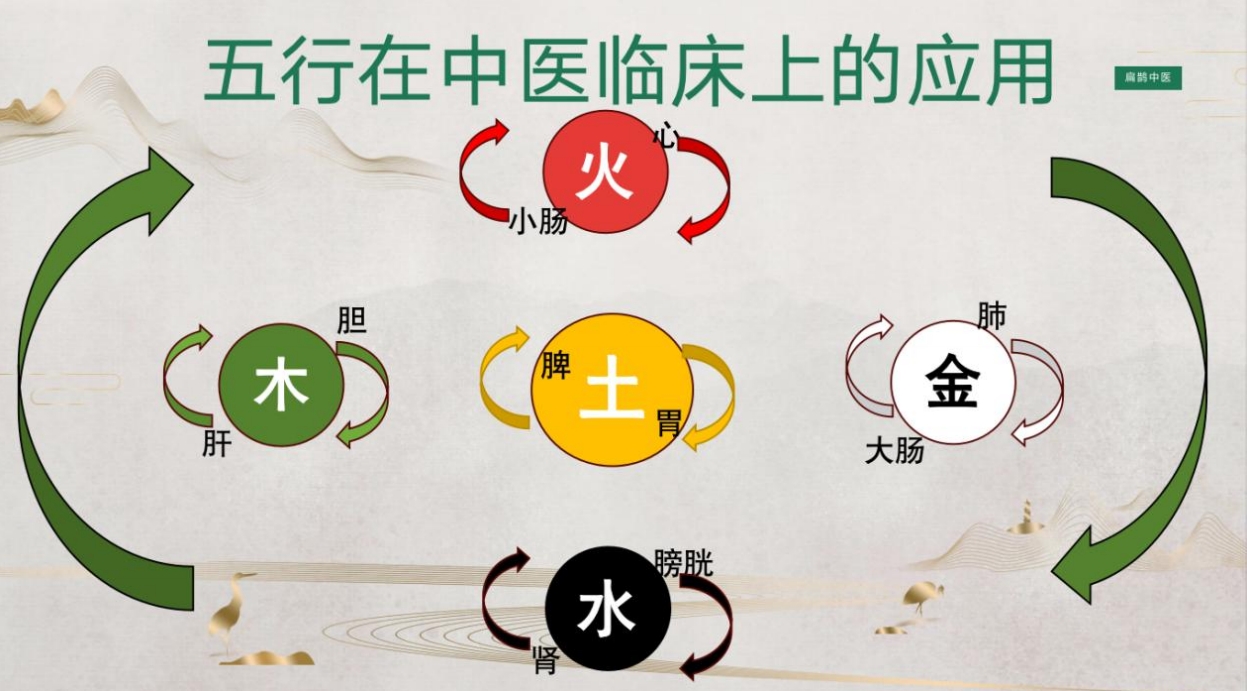 中医小白想入门？金氏五行升降中医，开启轻松学习之旅！