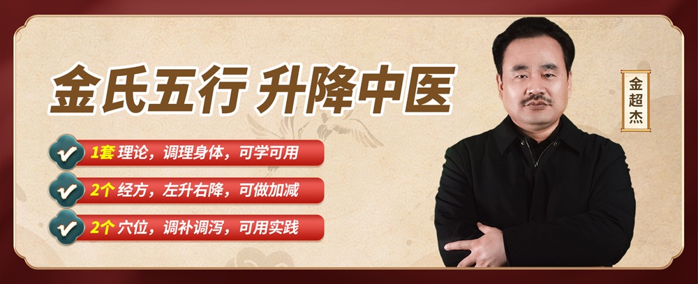 中医从业遇瓶颈？金氏五行升降中医，助你突破进阶！