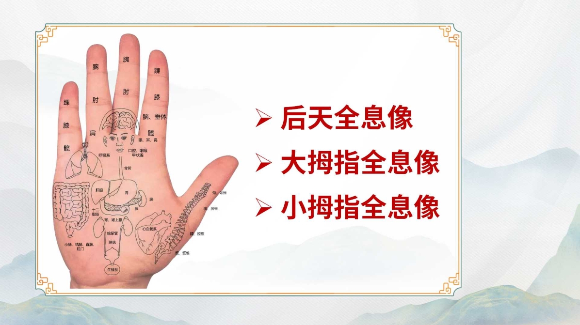 解锁生命密码:探秘朱超老师 “生命全息手诊” 课程! 解锁生命密码:探秘朱超老师 “生命全息手诊” 课程!