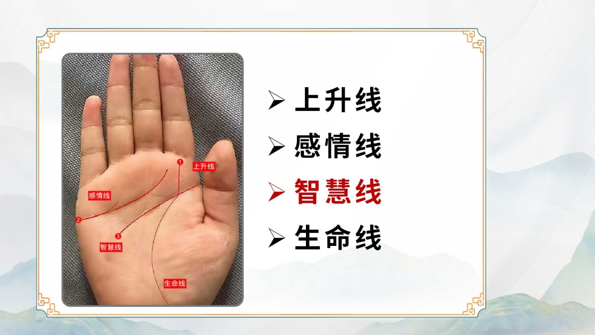 生命全息手诊 生命全息手诊