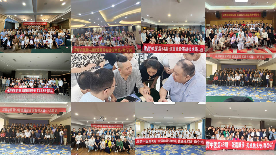 张震脉诊课程亮点:理论与实践相结合的教学模式 张震脉诊课程亮点:理论与实践相结合的教学模式