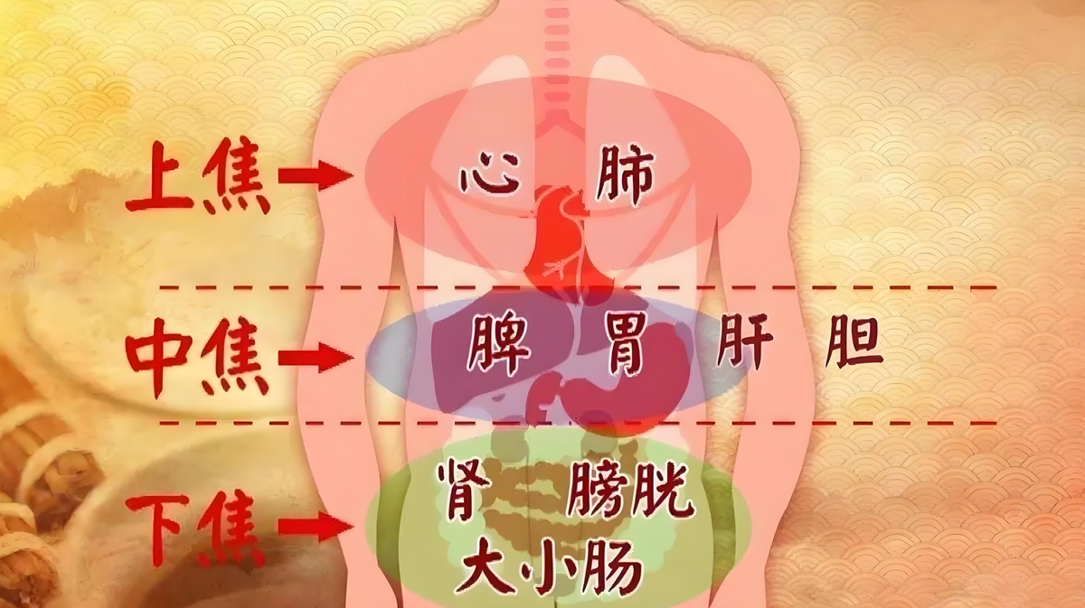 焦平老师演示龙根术通三焦,帮你打通身体“生命通道”! 焦平老师演示龙根术通三焦,帮你打通身体“生命通道”!