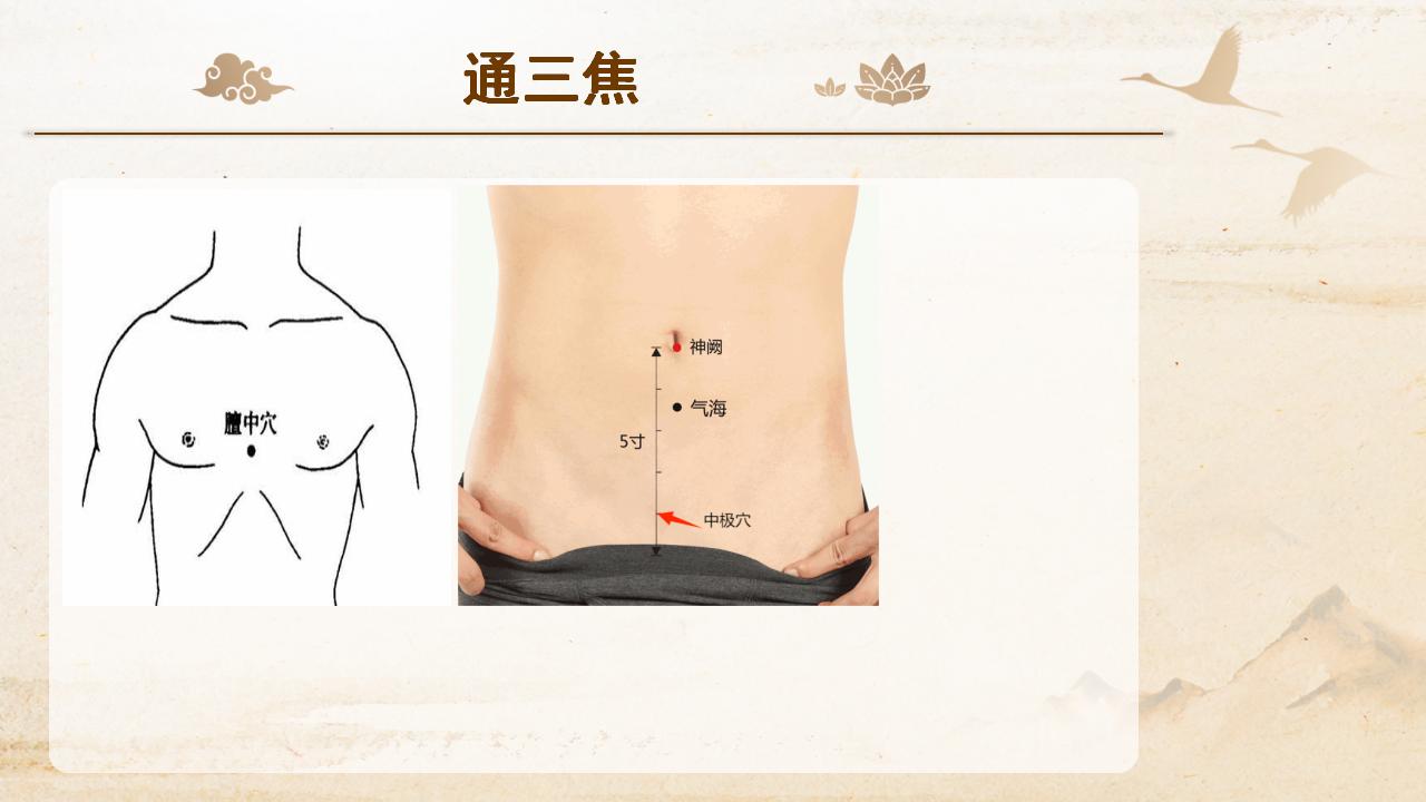 龙凤根术通三焦 龙凤根术通三焦