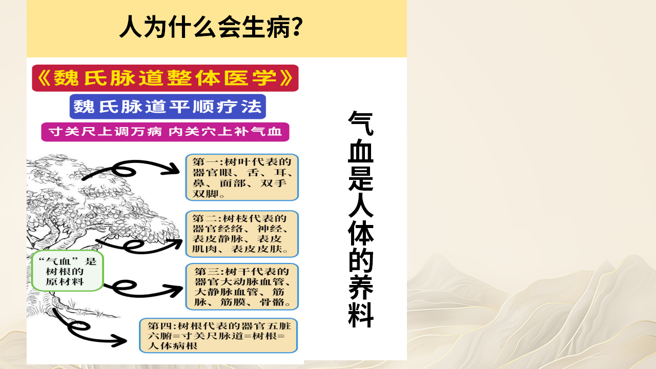 跟随权威专家,解锁魏氏脉道气血一针通! 跟随权威专家,解锁魏氏脉道气血一针通!