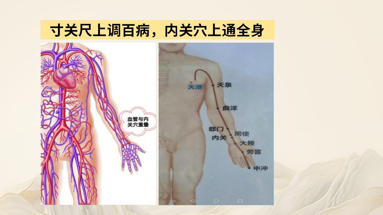 走进魏氏脉道气血一针通，解锁中医实用技艺，开启健康新篇