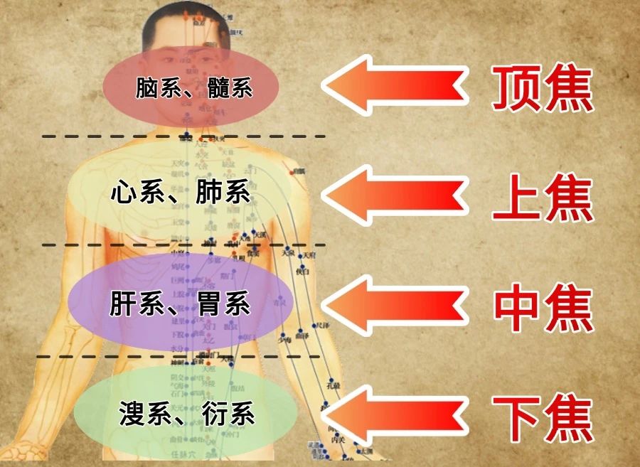 聊聊丁于洲博士的“丁氏中医全通论”与“全通汤”! 聊聊丁于洲博士的“丁氏中医全通论”与“全通汤”!