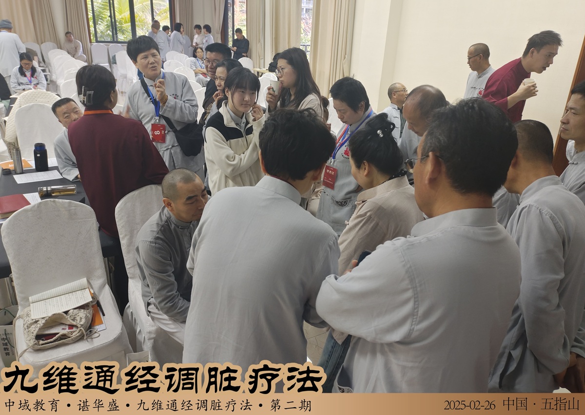 中域教育第 2 期九维通经调脏疗法弟子密训（海南站）圆满落幕！