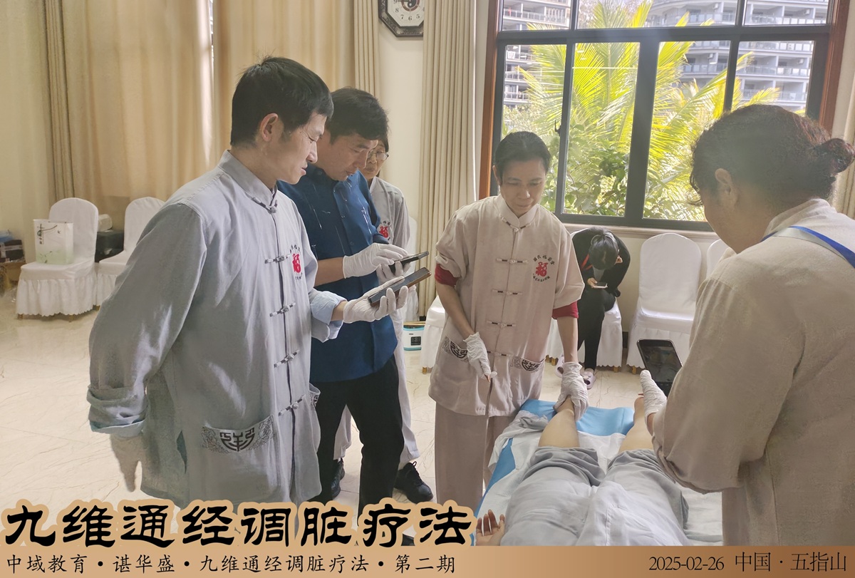 中域教育第 2 期九维通经调脏疗法弟子密训（海南站）圆满落幕！