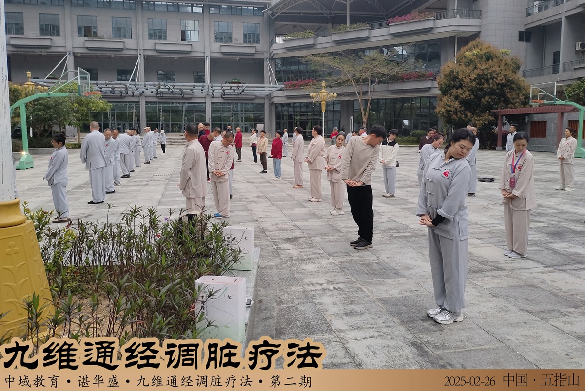 中域教育第 2 期九维通经调脏疗法弟子密训（海南站）圆满落幕！