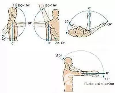 沉肩坠肘的练法 沉肩坠肘的练法