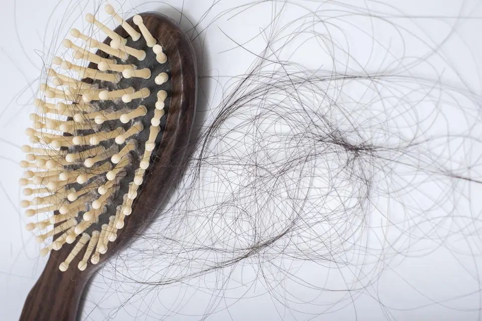 老的快、病的勤、绝经早？你可能并不是卵巢早衰，而是气血太亏虚了！