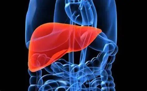 52岁猛然发现了安稳度过【更年期】的秘诀！多吃这几样，身体更年轻