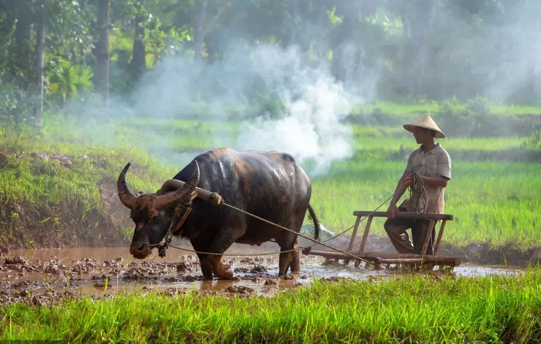 老人说:春分3不吃,福气不进门,具体指啥?有啥讲究?传统别丢 老人说:春分3不吃,福气不进门,具体指啥?有啥讲究?传统别丢