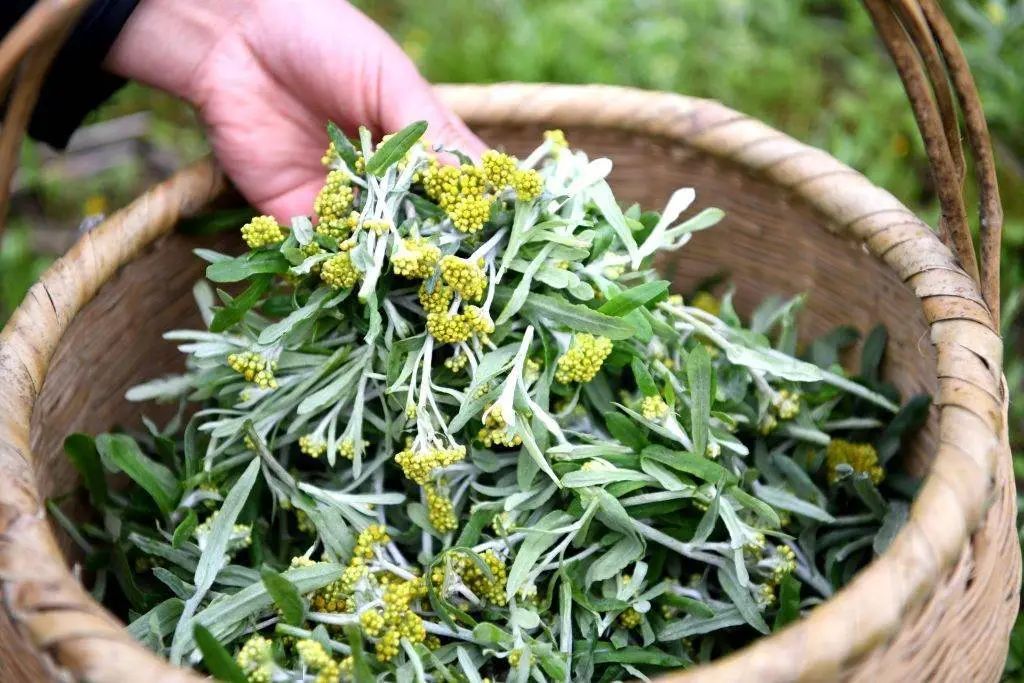 老人说:春分3不吃,福气不进门,具体指啥?有啥讲究?传统别丢 老人说:春分3不吃,福气不进门,具体指啥?有啥讲究?传统别丢