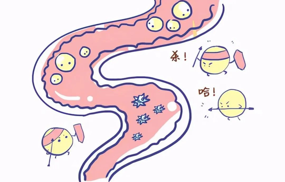 不起眼的野菜竟是【脾胃清洁工】 不起眼的野菜竟是【脾胃清洁工】