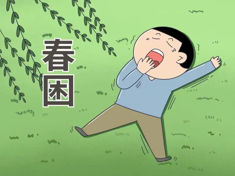 春困不是懒，而是肝脾失调了！一碗汤唤醒被"湿被子"裹住的身体
