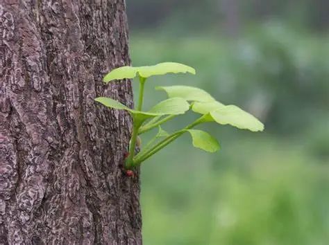 春季别再给孩子瞎补了！这不是在补身体，而是在害孩子！