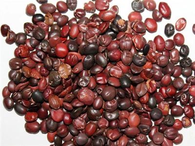 晚上睡不着，建议别放过这5种“天然安眠药”！