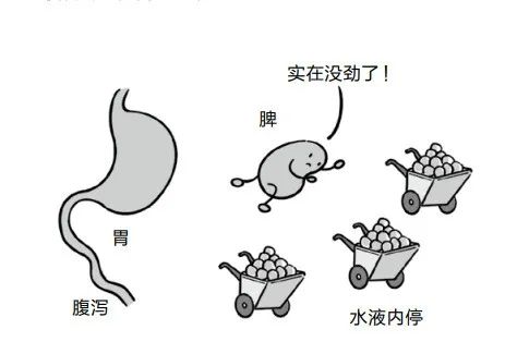 只有5味中药,从根上断绝湿气,还能治气虚和脾虚! 只有5味中药,从根上断绝湿气,还能治气虚和脾虚!
