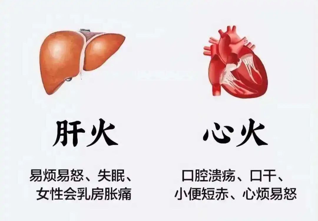 每天10分钟,一个月把肝养回来! 每天10分钟,一个月把肝养回来!