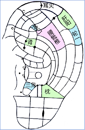 摸摸耳朵就让人重获健康!半路出家的她,凭什么让西医大夫心服口服? 摸摸耳朵就让人重获健康!半路出家的她,凭什么让西医大夫心服口服?