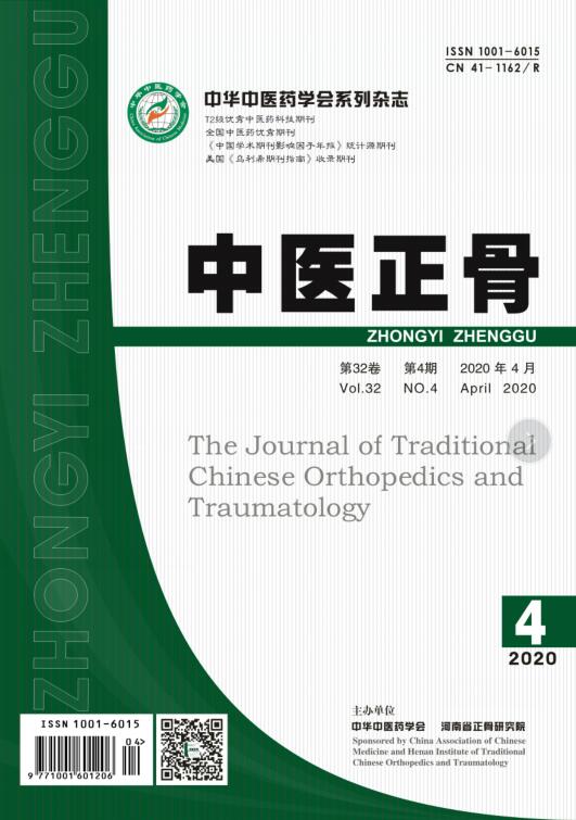 正骨入门指南:基础知识与学习路径解析! 正骨入门指南:基础知识与学习路径解析!