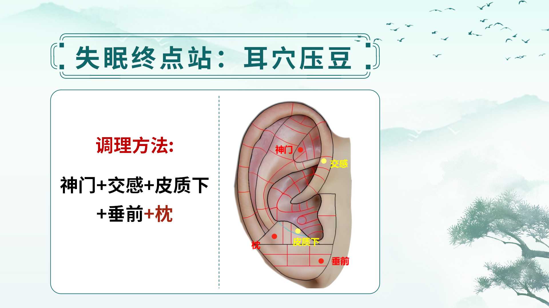 中易面诊线下课:零基础掌握中医面诊,从面部读懂健康与人生! 中易面诊线下课:零基础掌握中医面诊,从面部读懂健康与人生!
