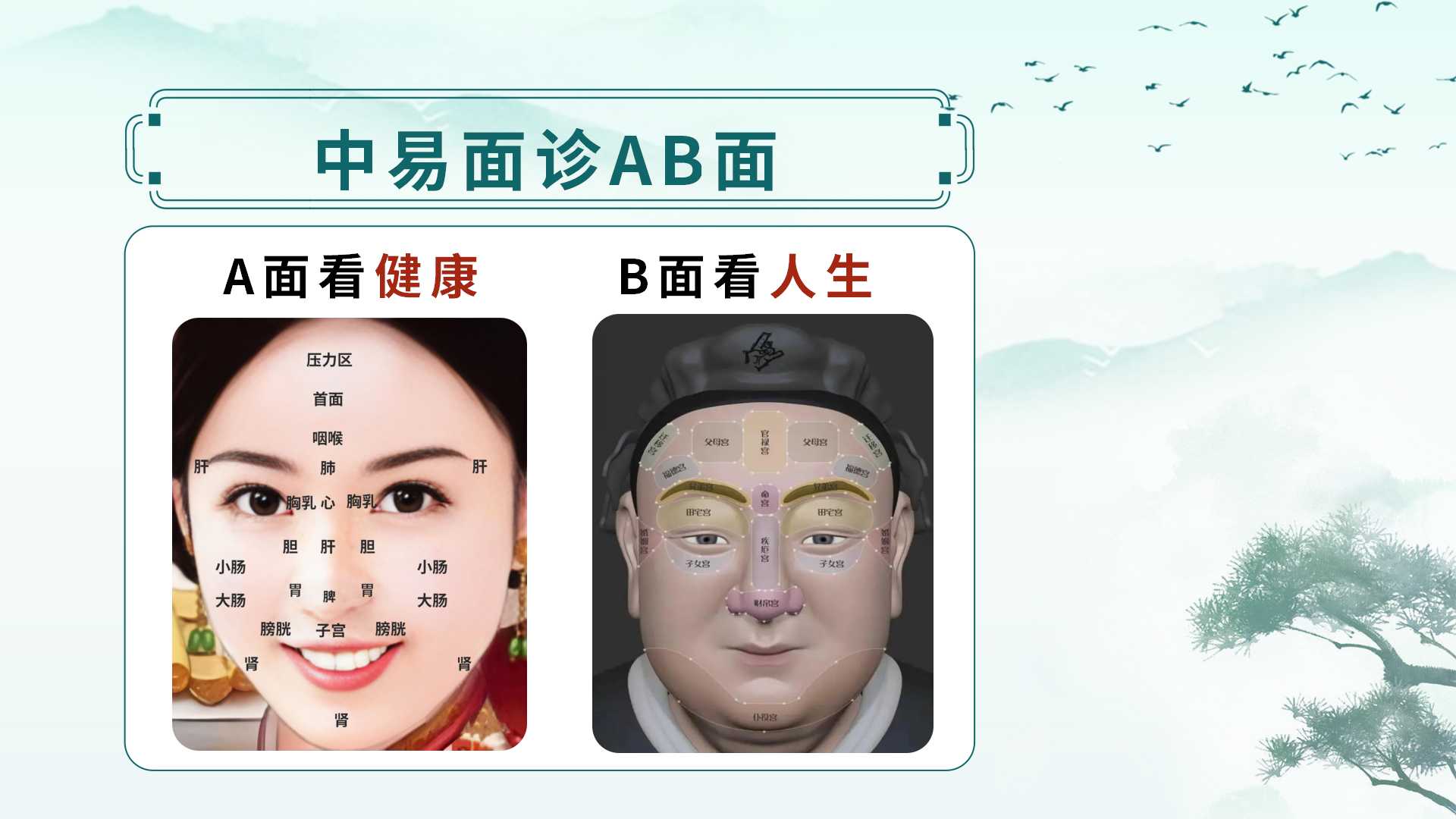 中易面诊线下课:零基础掌握中医面诊,从面部读懂健康与人生! 中易面诊线下课:零基础掌握中医面诊,从面部读懂健康与人生!