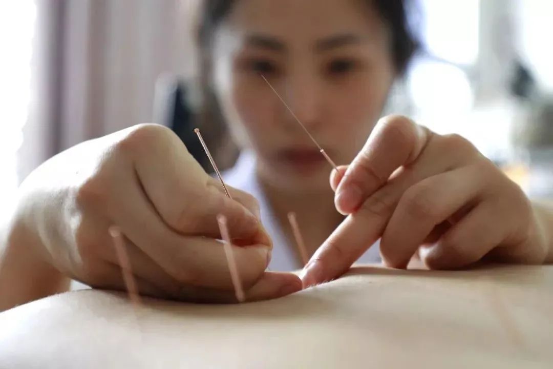 扁鹊基因望诊 扁鹊基因望诊