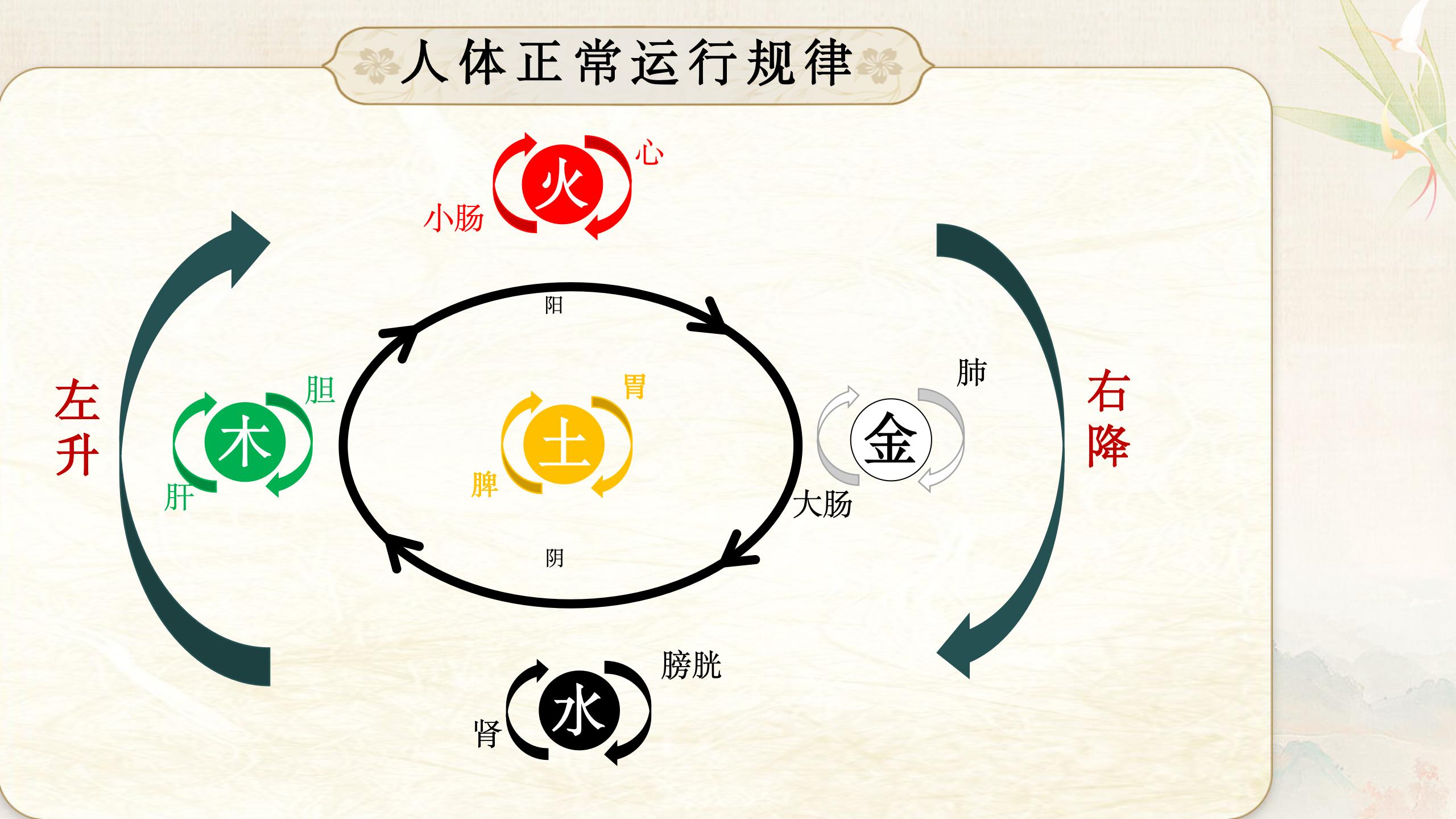 中域教育第 57 期金氏五行升降中医学术交流会(郑州站)开课啦! 中域教育第 57 期金氏五行升降中医学术交流会(郑州站)开课啦!