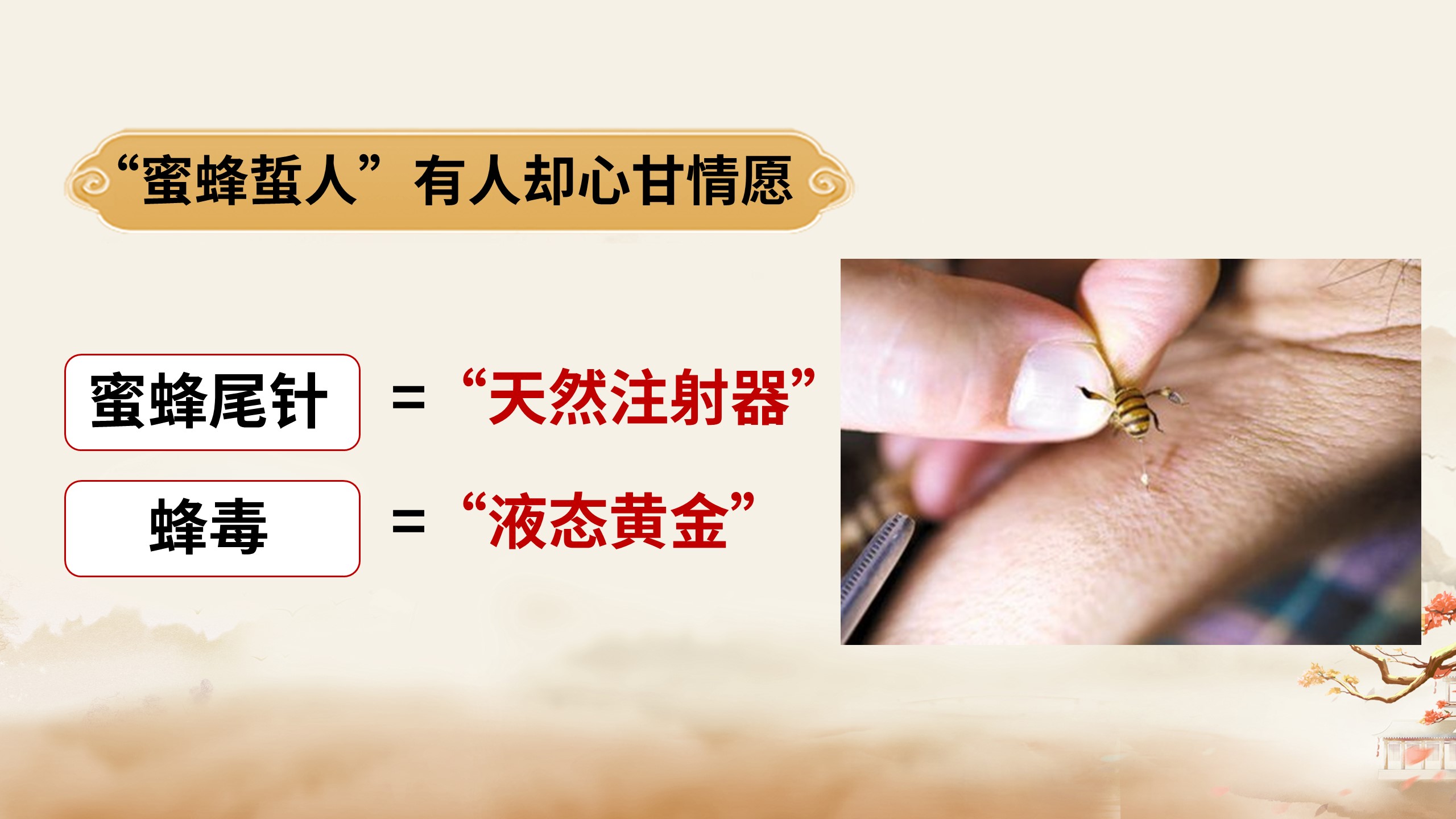 中域教育第 1 期蜂疗袪顽疾学术交流会(青岛站)开课啦! 中域教育第 1 期蜂疗袪顽疾学术交流会(青岛站)开课啦!