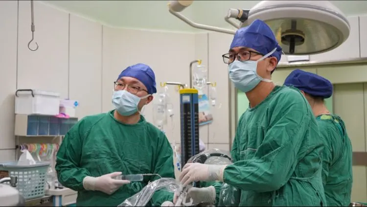 640 (2).webp 640 (2).webp