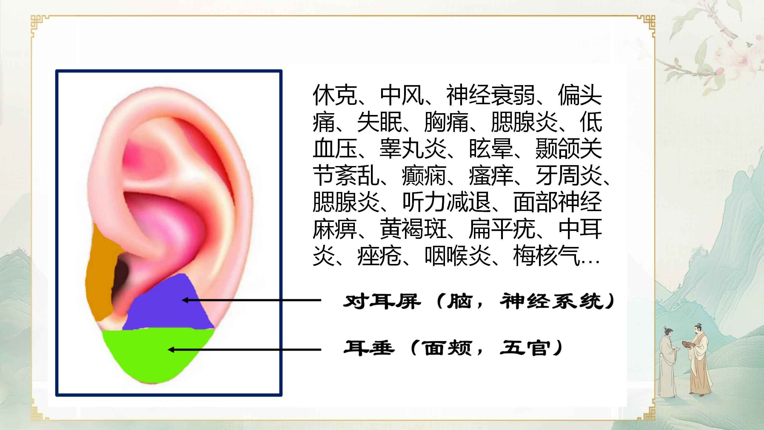 250412elcy43.jpg 250412elcy43.jpg